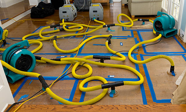 Professional Water Damage Repair technician working in Rock Island, TN